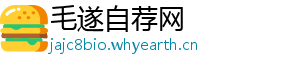 毛遂自荐网